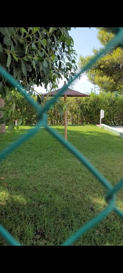 Apartamento Bajo Con Terraza Y Piscina Torrevieja Esterno foto