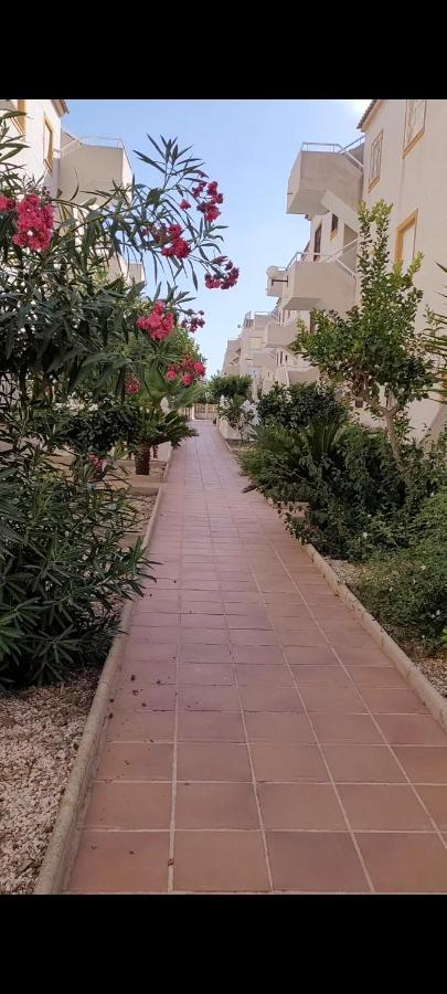 Apartamento Bajo Con Terraza Y Piscina Torrevieja Esterno foto