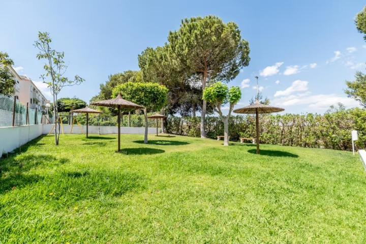 Apartamento Bajo Con Terraza Y Piscina Torrevieja Esterno foto